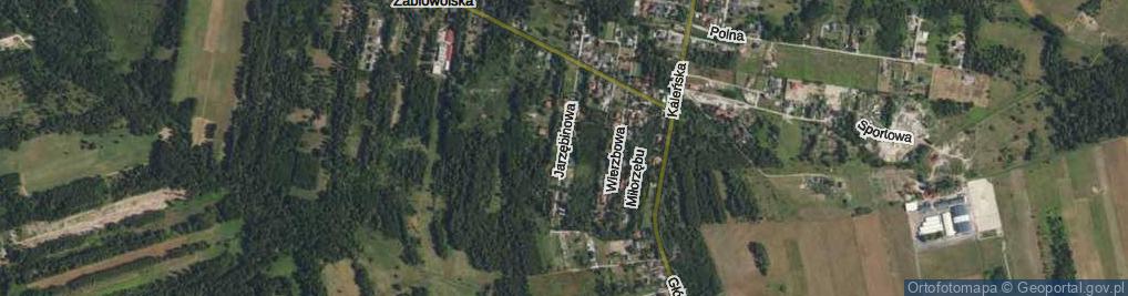 Zdjęcie satelitarne Jarzębinowa ul.